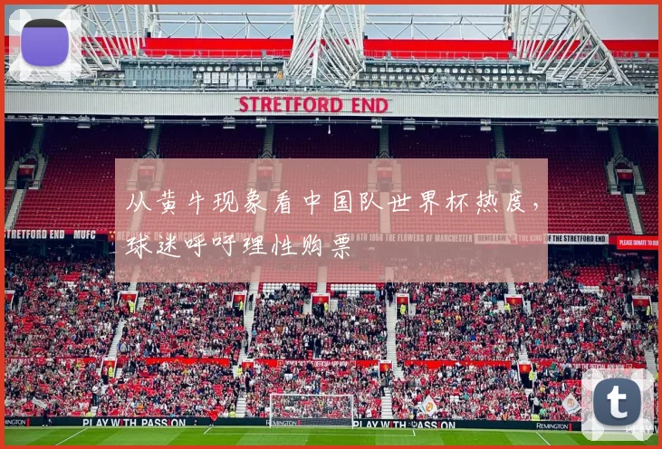 从黄牛现象看中国队世界杯热度，球迷呼吁理性购票