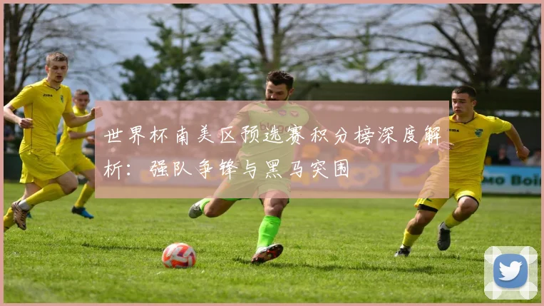 世界杯南美区预选赛积分榜深度解析:强队争锋与黑马突围