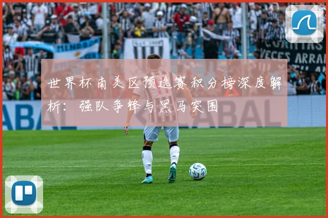 世界杯南美区预选赛积分榜深度解析：强队争锋与黑马突围