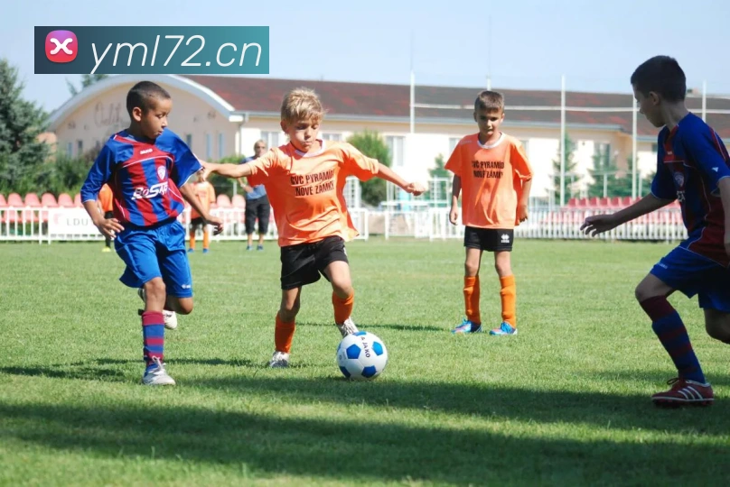 米兰app入口平台生态图